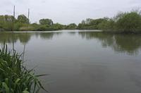 Cjp_2015_05_02_085938.jpg