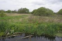 Cjp_2015_05_02_090922.jpg