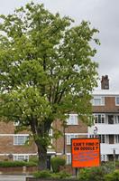 Cjp_2015_05_02_100002.jpg