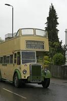 Cjp_2015_05_03_074522.jpg