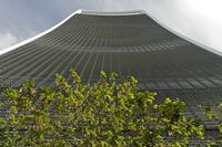 Cjp_2015_05_04_084416.jpg