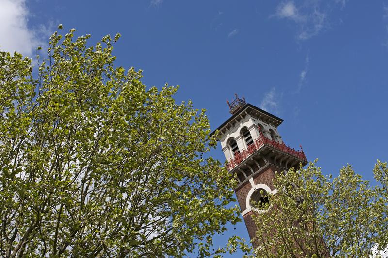 Cjp_2015_05_05_113954.jpg