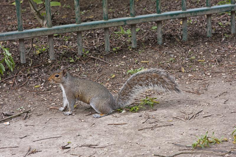 Cjp_2015_05_05_144526.jpg
