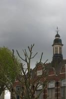 Cjp_2015_05_05_101130.jpg