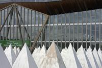 Cjp_2015_05_05_141914.jpg