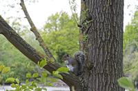 Cjp_2015_05_05_143154.jpg