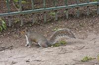 Cjp_2015_05_05_144526.jpg