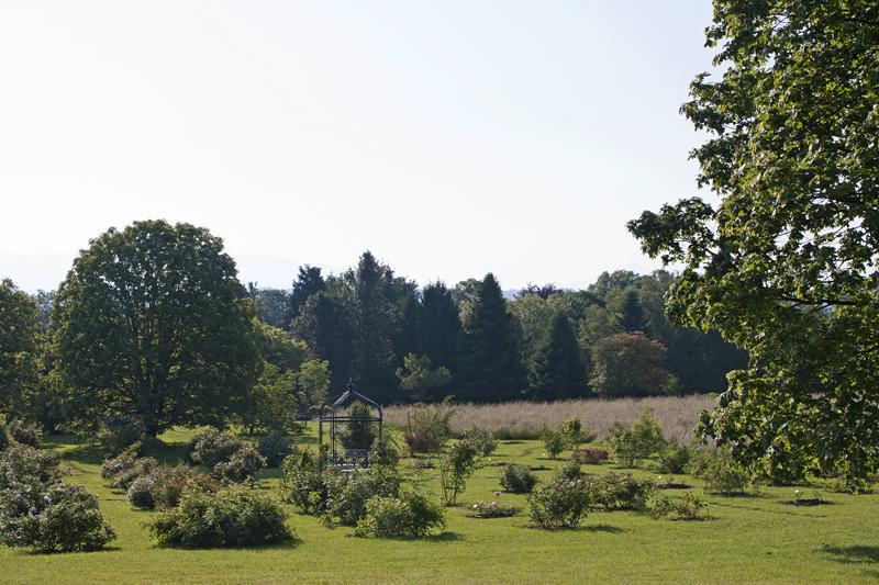 Cjp_2015_05_24_064306.jpg