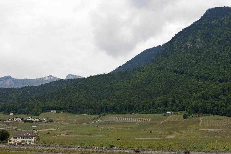 Cjp_2015_05_24_133500.jpg