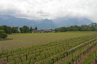 Cjp_2015_05_24_133126.jpg