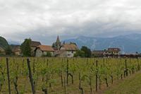 Cjp_2015_05_24_144304.jpg