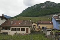 Cjp_2015_05_24_151000.jpg