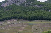 Cjp_2015_05_24_170702.jpg