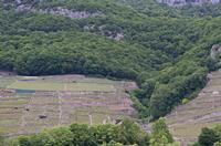 Cjp_2015_05_24_170748.jpg