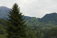 Cjp_2015_05_25_054724.jpg