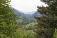 Cjp_2015_05_25_055908.jpg