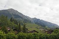 Cjp_2015_05_25_064024.jpg