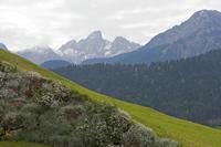 Cjp_2015_05_25_064520.jpg