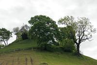 Cjp_2015_05_25_064550.jpg