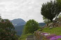 Cjp_2015_05_25_065958.jpg