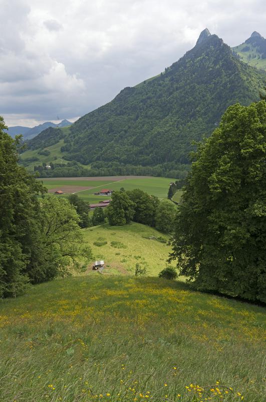 Cjp_2015_05_25_110610.jpg