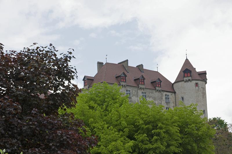 Cjp_2015_05_25_112802.jpg