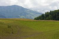 Cjp_2015_05_25_103946.jpg