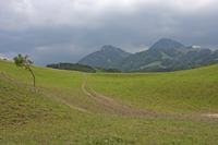Cjp_2015_05_25_114956.jpg