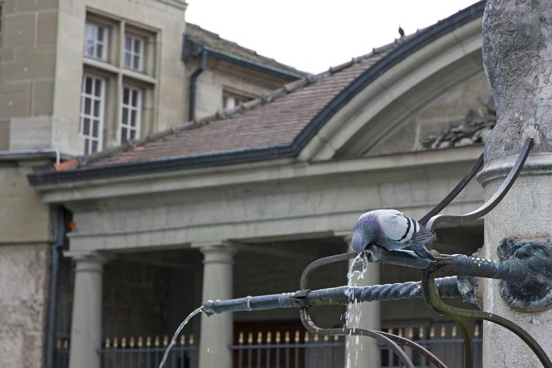 Cjp_2015_05_25_140608.jpg