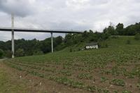 Cjp_2015_05_25_151424.jpg