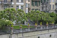 Cjp_2015_05_26_073752.jpg