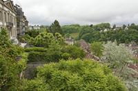 Cjp_2015_05_26_074150.jpg