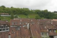 Cjp_2015_05_26_075402.jpg