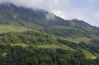 Cjp_2015_05_27_070332.jpg