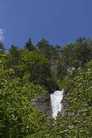 Cjp_2015_05_27_110728.jpg