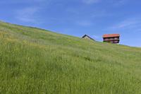 Cjp_2015_05_28_074946.jpg