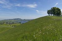 Cjp_2015_05_28_075348.jpg