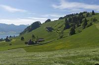 Cjp_2015_05_28_075520.jpg