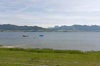 Cjp_2015_05_28_104930.jpg