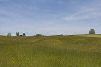 Cjp_2015_05_28_111804.jpg