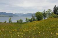 Cjp_2015_05_28_112226.jpg