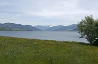 Cjp_2015_05_28_112658.jpg