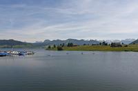 Cjp_2015_05_28_114438.jpg