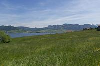 Cjp_2015_05_28_115336.jpg