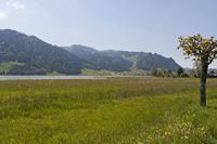 Cjp_2015_05_28_130724.jpg