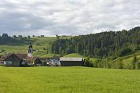 Cjp_2015_05_29_060604.jpg