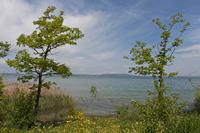 Cjp_2015_05_29_114922.jpg