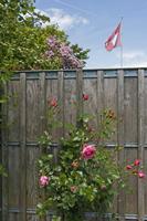 Cjp_2015_05_29_123658.jpg