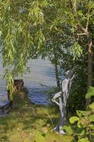 Cjp_2015_05_29_124454.jpg