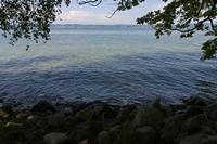Cjp_2015_05_29_130812.jpg